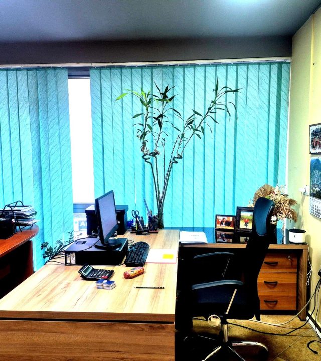 WhatsApp Image 2025-03-20 at 15.28.54